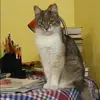 Отзыв от Валентина Малинина